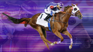 2024 live racing logo with jockeys and horses